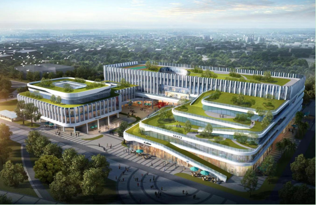 1724031487318059.jpg 1724031404804.jpg